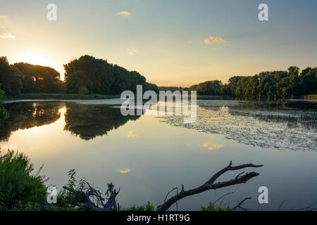 Nationalpark Donauauen, Danube-Auen-Nationalpark: Oxbow See Donau, Sonnenuntergang, Donau, Niederösterreich, Niederösterreich, Österreich Stockfoto