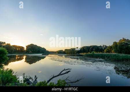 Nationalpark Donauauen, Danube-Auen-Nationalpark: Oxbow See Donau, Sonnenuntergang, Donau, Niederösterreich, Niederösterreich, Österreich Stockfoto