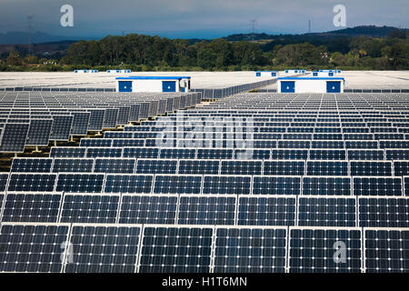 Solar Energy Center in der Nähe von Guadarranque, San Roque, Provinz Cadiz, Spanien. Stockfoto