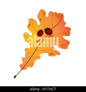 Zwei niedliche Marienkäfer auf Herbst Eichenblatt Stock Vektor