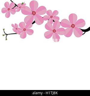 Stilisierte Kirsche Kirsche Japan Branch mit blühenden Blumen illustration Stock Vektor