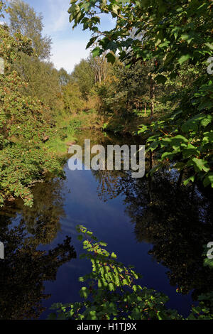 Spiegelungen und Schatten in einem Fluss im Sommer Stockfoto