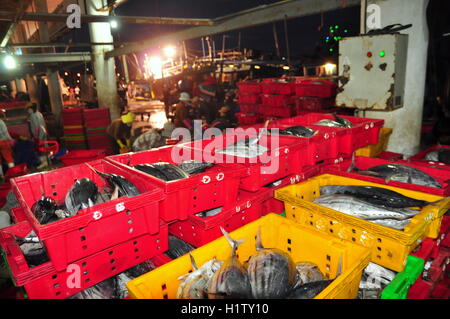 Nha Trang, Vietnam – 21. Februar 2013: Fische werden gesammelt und sortiert in Körbe vor der Verladung auf den LKW an die Stockfoto