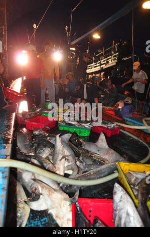 Nha Trang, Vietnam – 21. Februar 2013: Fische werden gesammelt und sortiert in Körbe vor der Verladung auf den LKW an die Stockfoto