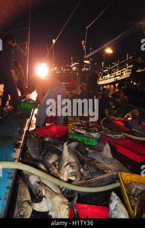 Nha Trang, Vietnam – 21. Februar 2013: Fische werden gesammelt und sortiert in Körbe vor der Verladung auf den LKW an die Stockfoto