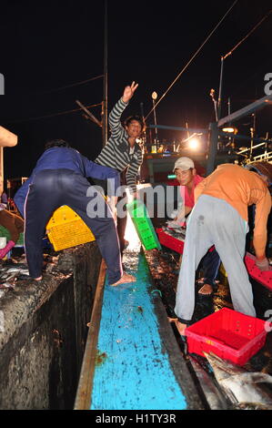 Nha Trang, Vietnam – 21. Februar 2013: Fische werden gesammelt und sortiert in Körbe vor der Verladung auf den LKW an die Stockfoto