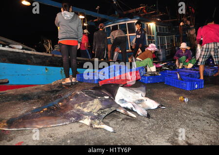 Nha Trang, Vietnam – 21. Februar 2013: Fische werden gesammelt und sortiert in Körbe vor der Verladung auf den LKW an die Stockfoto