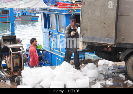 Nha Trang, Vietnam – 21. Februar 2013: Arbeiter Eis um Thunfisch in der Hon Ro-Hafenstadt Nha Trang Stadt zu wahren mahlen Stockfoto