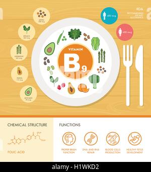 Vitamin B9 Ernährung Infografik mit Gesundheit und Nahrung-Ikonen: Ernährung, gesunde Ernährung und Wellness-Konzept Stock Vektor