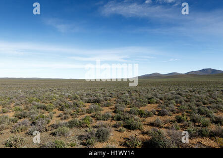 Die schöne blau grün flache Tankwa-Karoo-Landschaft Stockfoto