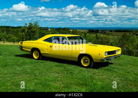 1968 Dodge Superbee Stockfoto