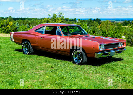 1968 Dodge Superbee Stockfoto