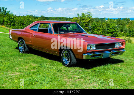 1968 Dodge Superbee Stockfoto