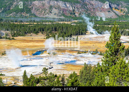 Dampf aus verschiedenen Geysire in Upper Geyser Basin im Yellowstone National Park risin Stockfoto