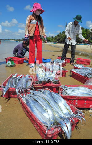 Lagi, Vietnam - 26. Februar 2012: Einheimische Fischer ihre Fische für Einheimische und Touristen am Strand Lagi verkaufen Stockfoto