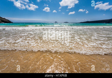 Ecuador, Galápagos-Inseln, Isla Santa Maria auch bekannt als Insel Floreana, Strand von Punta Cormorant Stockfoto