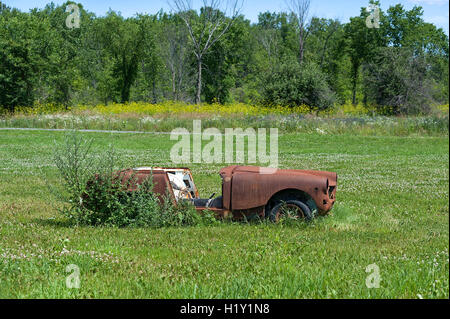 Mietwagen in Wiese rosten Stockfoto