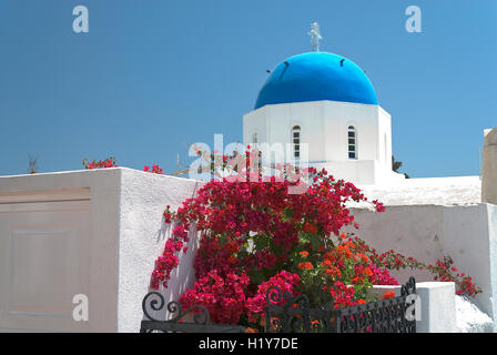 Roter Busch und blaue Kuppel Stockfoto