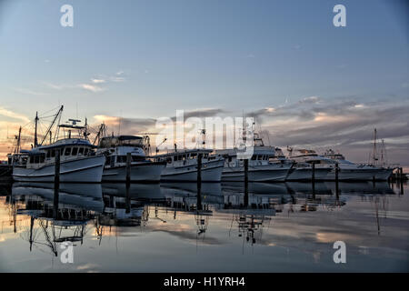 Sonnenuntergang und Boote in Nelson Bay Stockfoto