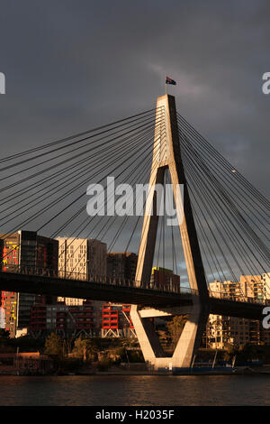 Am späten Nachmittag Licht auf den ANZAC Bridge Pyrmont Sydney New South Wales Australien Stockfoto