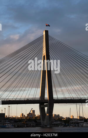 Am späten Nachmittag Licht auf den ANZAC Bridge Pyrmont Sydney New South Wales Australien Stockfoto