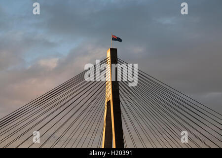 Am späten Nachmittag Licht auf den ANZAC Bridge Pyrmont Sydney New South Wales Australien Stockfoto