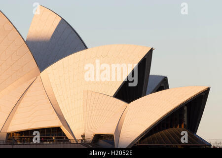 Nahaufnahme der Segel des Sydney Opera House Sydney Australia. Stockfoto