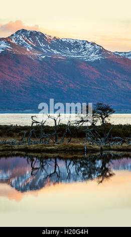Herbst in Patagonien. Tierra Del Fuego, Beagle-Kanal und chilenische Territorium, Blick von der Argentinien-Seite Stockfoto