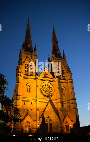 Der Metropolitan Cathedral of St Mary ist die Kathedrale des römisch-katholischen Erzdiözese of Sydney NSW Australia Stockfoto