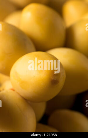 Rohe organische goldene frische junge Datteln in einem Bündel Stockfoto