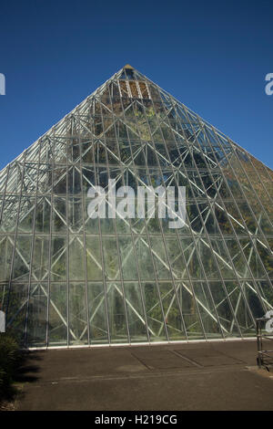 Pyramide-Glashaus, Abschnitt Tropenpflanze Royal Botanical Gardens Sydney Australia untergebracht Stockfoto