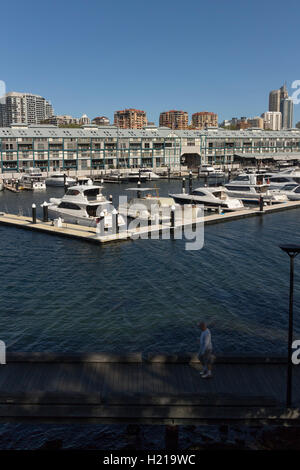 Die Finger Wharf oder Woolloomooloo Wharf ist eine Werft in Woolloomooloo Bay, Sydney, Australien. Die Struktur ist die längste timbere Stockfoto