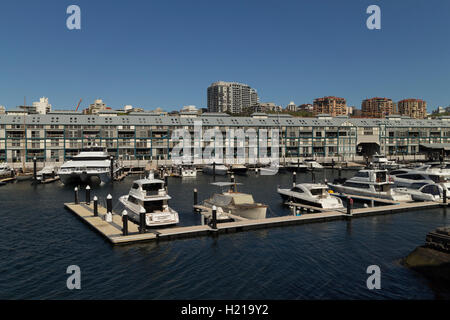 Die Finger Wharf oder Woolloomooloo Wharf ist eine Werft in Woolloomooloo Bay, Sydney, Australien. Stockfoto