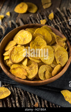 Gesunde hausgemachte Plantain Chips mit Meersalz Stockfoto