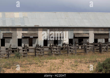 Historische Kinchega Woolshed Kinchega Nationalpark Outback New South Wales Australien Stockfoto