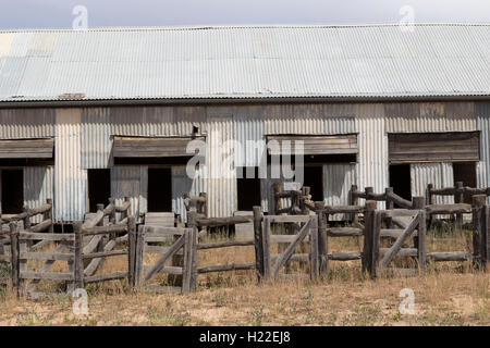 Historische Kinchega Woolshed Kinchega Nationalpark Outback New South Wales Australien Stockfoto