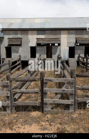 Historische Kinchega Woolshed Kinchega Nationalpark Outback New South Wales Australien Stockfoto