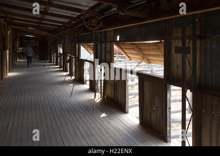 Historische Kinchega Woolshed Kinchega Nationalpark Outback New South Wales Australien Stockfoto