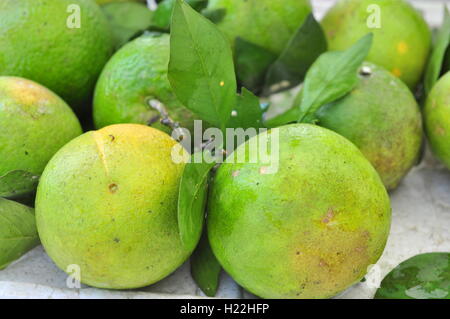 Orangen sind für den Verkauf Stockfoto