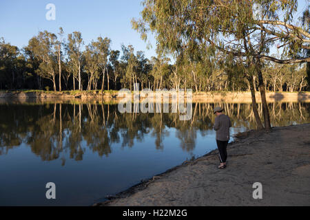 Späten Nachmittag Reflexionen über den Murray River bei Bourkes Bend Victoria Australia Stockfoto