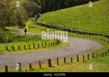 Europa, PORTUGAL, Azoren, Insel Graciosa, Furna da Enxofre, allgemeine Landschaft mit kurvenreichen Straße Stockfoto