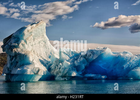 Europa, Grönland, Kujalleq Gemeinde Narsarsuaq (Bedeutung: großen Plan), Qoroq Ice Fjord, Iceberg Stockfoto