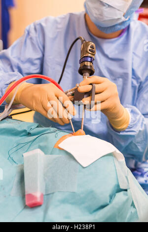 Nasennebenhöhlenchirurgie. Chirurgen, die funktionelle endoskopische Nasennebenhöhlenchirurgie durchführen. Stockfoto