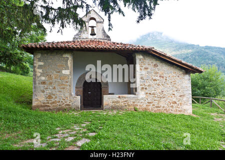 Bermiego Eibe, auch genannt asturischen 'Teixu l'Ilesia' ist eine alte Baumart Taxus Baccata in der spanischen Stadt Bermie gefunden Stockfoto