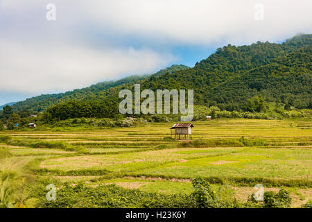 Reisfelder nach der Ernte, kleine Hütte, Luang Namtha, Luang Namtha Provinz, Laos Stockfoto