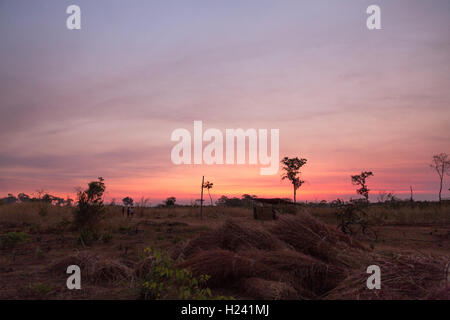 Lalaua Bezirk, Provinz Nampula, Mosambik, August 2015: Die Sonne in Laurinda Diago's Village. Foto von Mike Goldwater Stockfoto