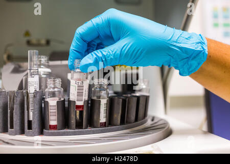 Blutproben in Fläschchen auf eine Zentrifuge Maschine. Stockfoto