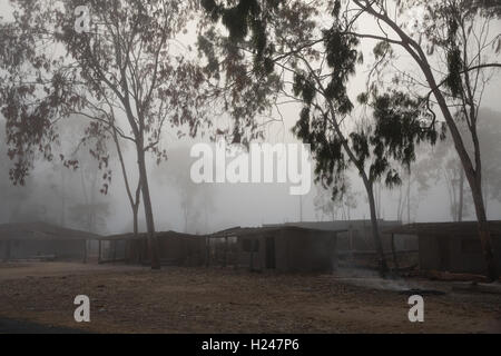 Namina Dorf, Provinz Nampula, Mosambik, August 2015: Nebel am frühen Morgen auf dem Weg zur Nmina Dorf. Foto von Mike Goldwater Stockfoto