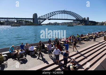 Café-Bar in der Nähe von Sydney Opera House, voll mit einheimischen und Touristen an einem schönen Frühlingstag Sydney NSW Australia Stockfoto