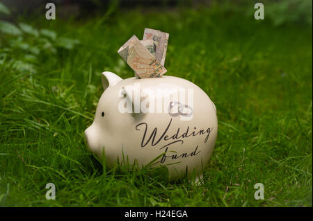 Hochzeit gespart piggy Bank Stockfoto